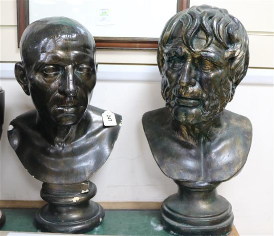 Two classical lifesize plaster busts tallest 54cm
